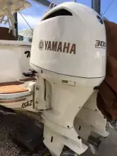 Thumbnail von Scout 350 LXF