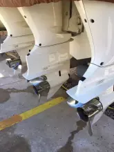 Thumbnail von Scout 350 LXF