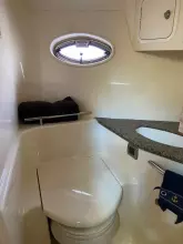 Thumbnail von Sea Ray 420 Sundancer