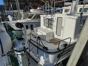 Thumbnail von Nordic Tugs 32 SANTOSHA