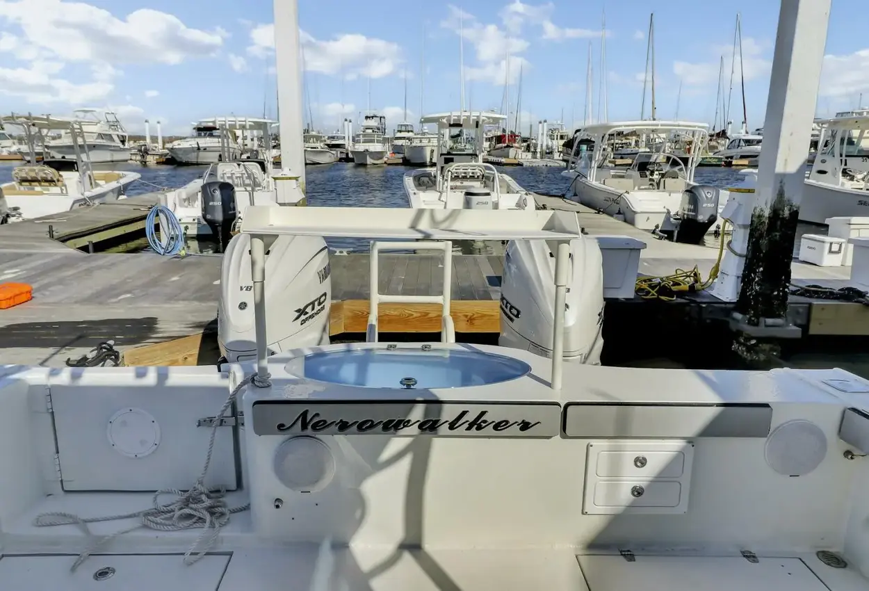 Thumbnail von Custom Val 35 Hollow Point