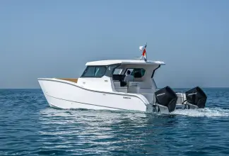 Thumbnail von SilverCat 34 LUX