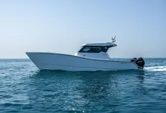 Thumbnail von SilverCat 34 LUX