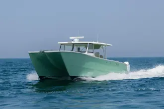 Thumbnail von SilverCat 40 CC ULTRA