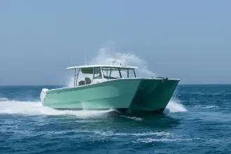 Thumbnail von SilverCat 40 CC ULTRA