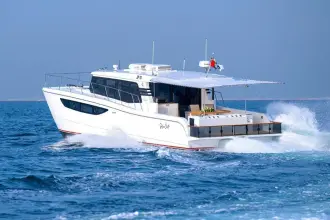 Thumbnail von SilverCat 46 LUX