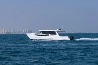 Thumbnail von SilverCat 46 LUX