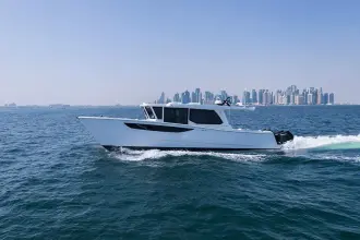 Thumbnail von SilverCat 46 LUX