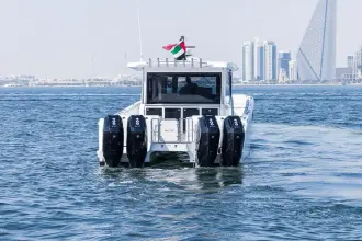 Thumbnail von SilverCat 46 LUX