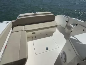 Thumbnail von Pursuit 365I SC Cadence