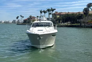 Thumbnail von Pursuit 365I SC Cadence