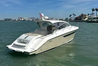 Thumbnail von Pursuit 365I SC Cadence