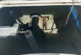 Thumbnail von Leopard 38 Tiki