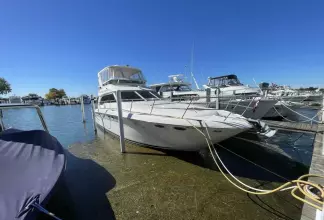 Thumbnail von Sea Ray 480 Sedan Bridge MAX SEA