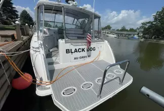 Thumbnail von Formula 41 PC BLACK DOG