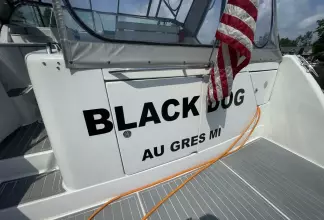 Thumbnail von Formula 41 PC BLACK DOG