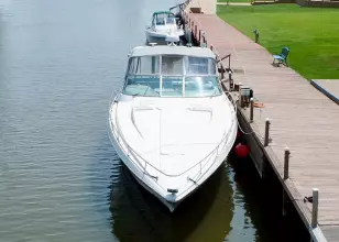 Thumbnail von Formula 41 PC BLACK DOG