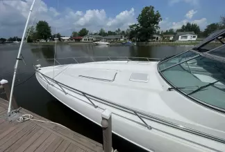 Thumbnail von Formula 41 PC BLACK DOG