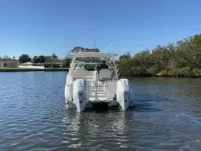 Thumbnail von World Cat 296 DC