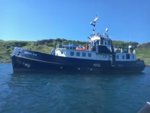 Thumbnail von Royal Navy CONVERTED CLOVELLY CLASS Cricklade