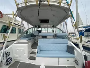 Thumbnail von Luhrs 380