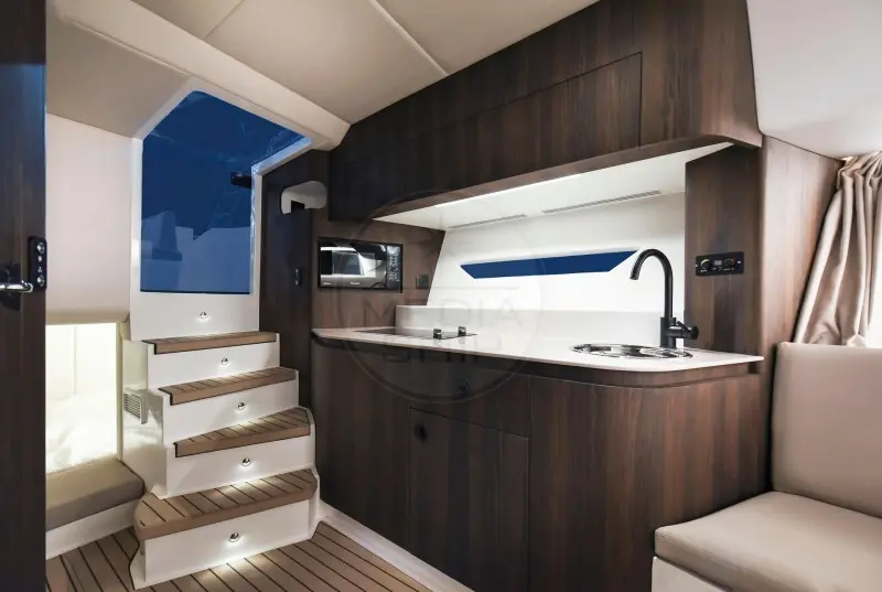 Thumbnail von Oryx 379