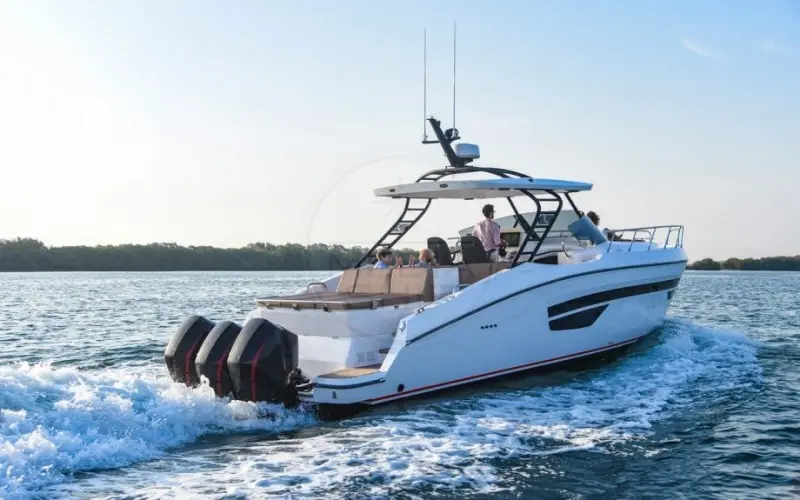 Thumbnail von Oryx 379