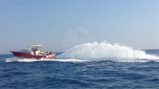 Thumbnail von T Yachts V40