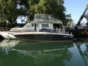 Thumbnail von Magnum 38