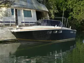 Thumbnail von Magnum 38