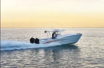 SilverCat 34 CC
