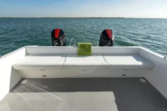 Thumbnail von SilverCat 34 LUX