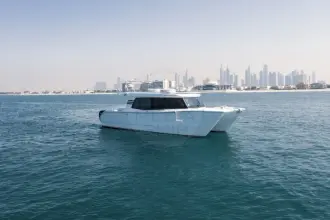 SilverCat 40 LUX