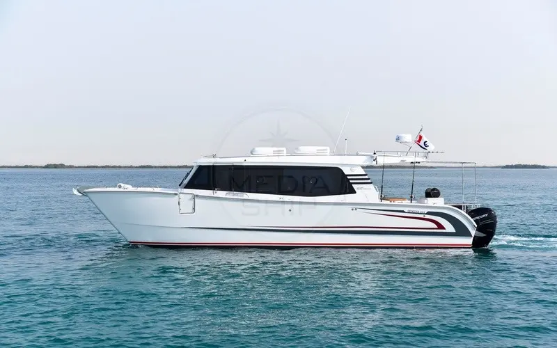 Thumbnail von SilverCat 40 LUX