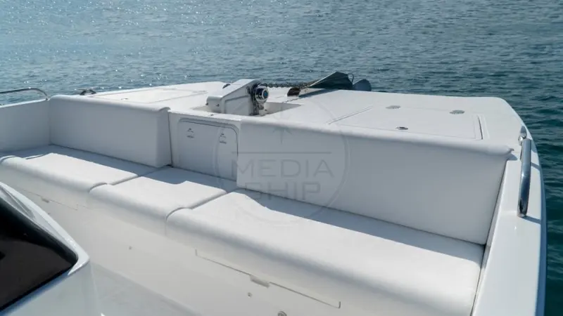 Thumbnail von SilverCat 40 LUX