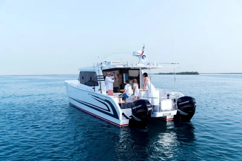 Thumbnail von SilverCat 40 LUX