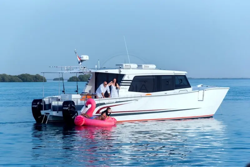 Thumbnail von SilverCat 40 LUX