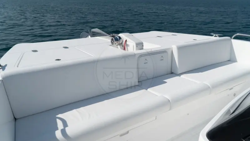 Thumbnail von SilverCat 40 LUX