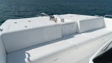 Thumbnail von SilverCat 40 LUX