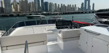 Thumbnail von Majesty 60