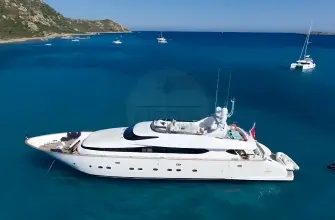 Thumbnail von Maiora 31 DP