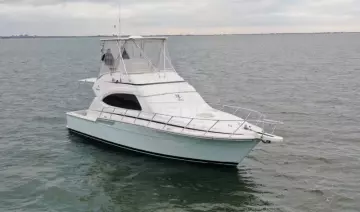 Bertram 390 Convertible