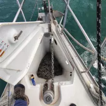 Thumbnail von Jeanneau Sun Odyssey 43