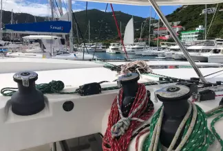 Thumbnail von Leopard 50 Caroleena