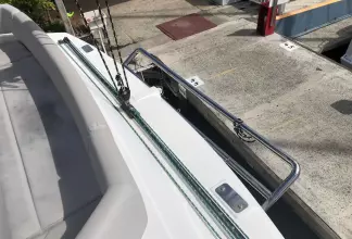 Thumbnail von Leopard 50 Caroleena