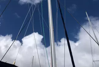 Thumbnail von Leopard 50 Caroleena