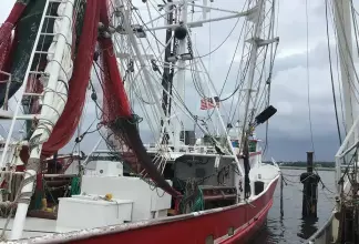 Thumbnail von Rodriguez Boat Builders 81