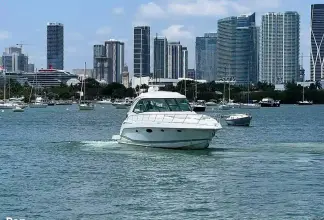 Thumbnail von Formula 45