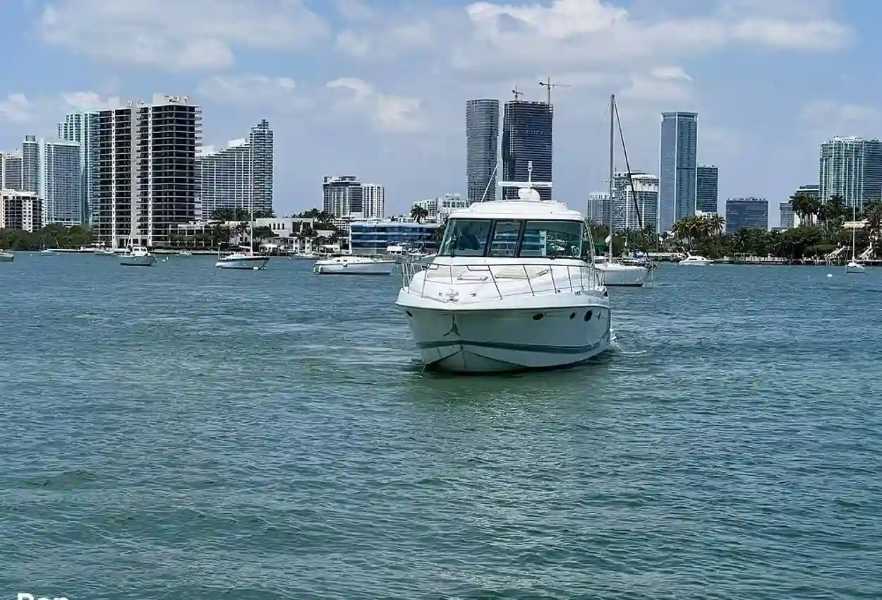 Thumbnail von Formula 45