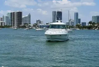 Thumbnail von Formula 45